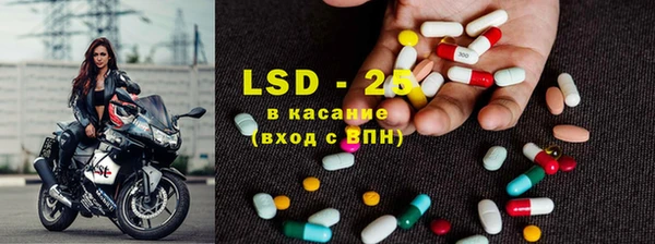 ПСИЛОЦИБИНОВЫЕ ГРИБЫ Алексеевка